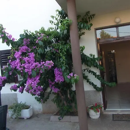 Tina Apartment Zadar